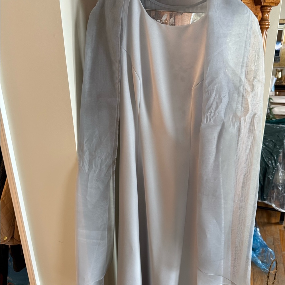 Alex Evenings Silver Dress with Sheer Detail